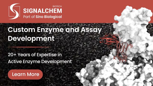 Enzyme and Assay Development Services 