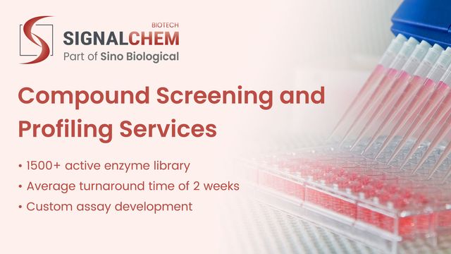 Compound Screening and Profiling Services 