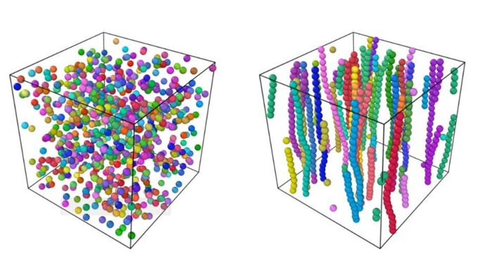 Disperse colloid particles would independently move to form worm-like structures when the electric field was applied.