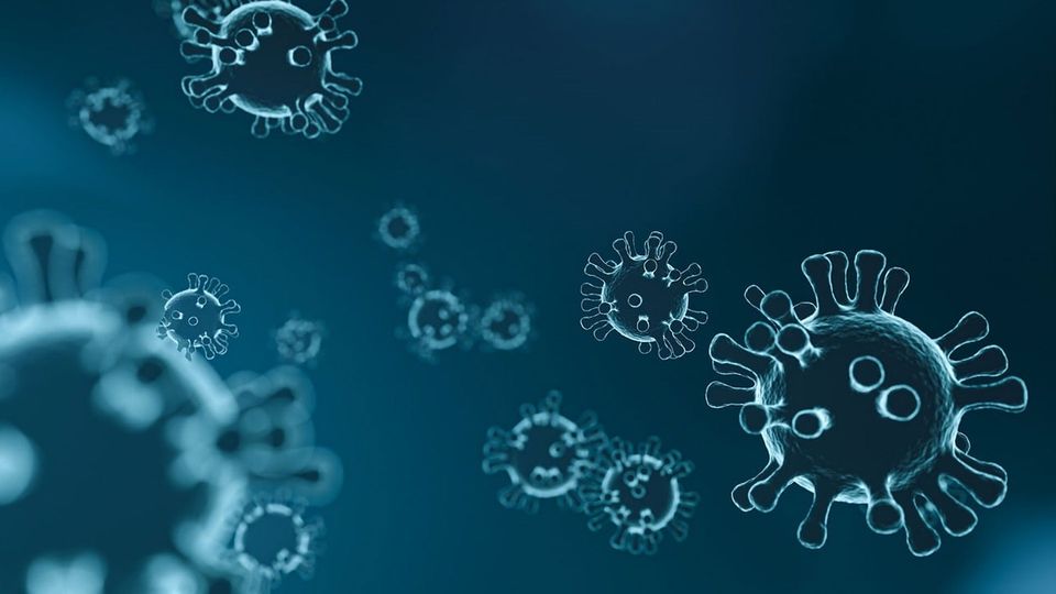 Round virus particles with spike proteins protruding from their surfaces.