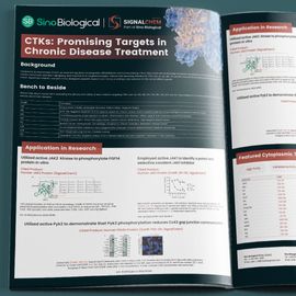 CTKs: Therapeutic Targets for Chronic Diseases  