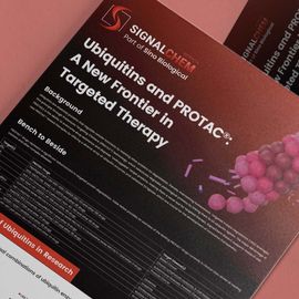 Ubiquitins and PROTAC®: A New Frontier in Targeted Therapy 