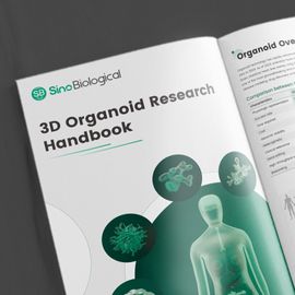 3D Organoid Research Handbook 