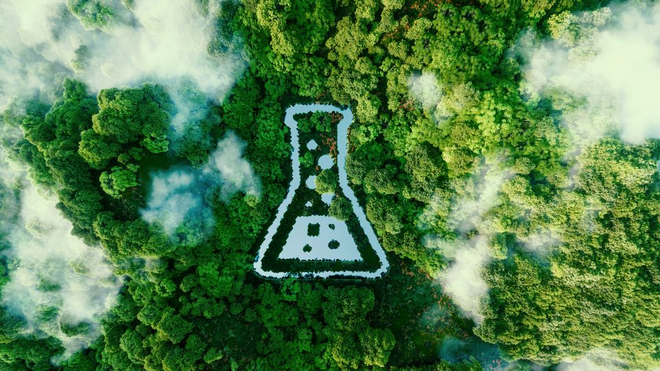 Birds eye view of a forest with a cut out of a beaker in the middle.