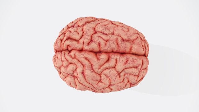 FDA Approves Adaptive DBS for Parkinson's | Technology Networks