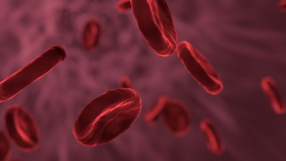 3D rendered image of red blood cells