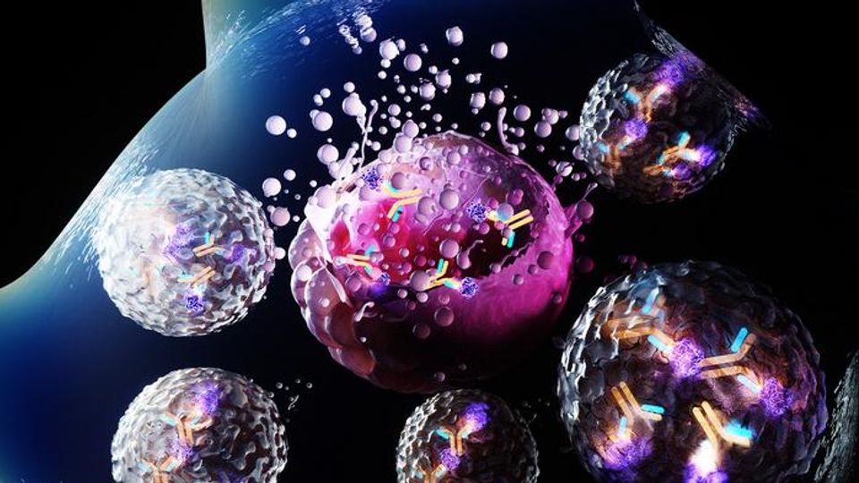 3D rendering of antibody-toxin conjugate attacking cancer cell.