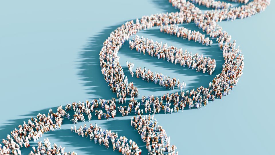 A crowd of people standing in the shape of a DNA molecule.