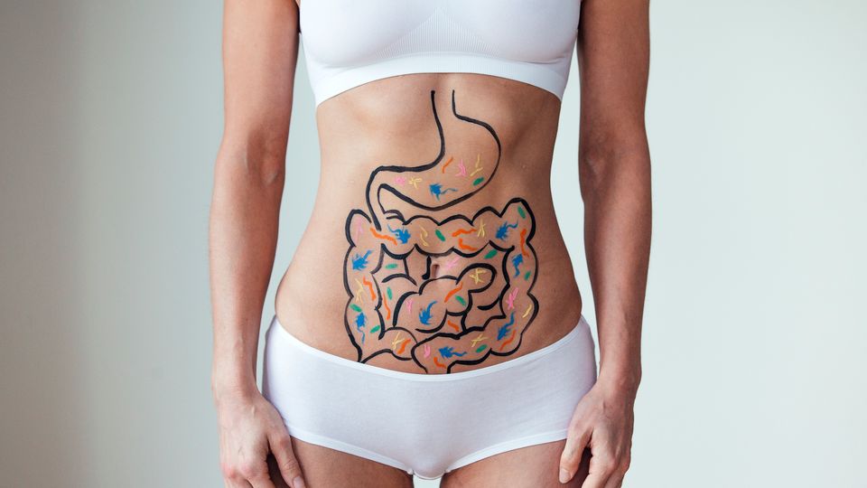 An animation of the gut drawn on a woman's abdomen.