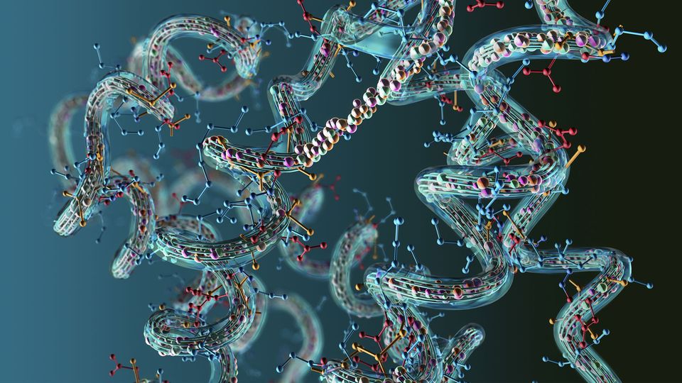 A protein structure.