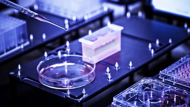 High-throughput screening process in a laboratory, featuring a pipette dispensing liquid into a petri dish among automated testing equipment. 