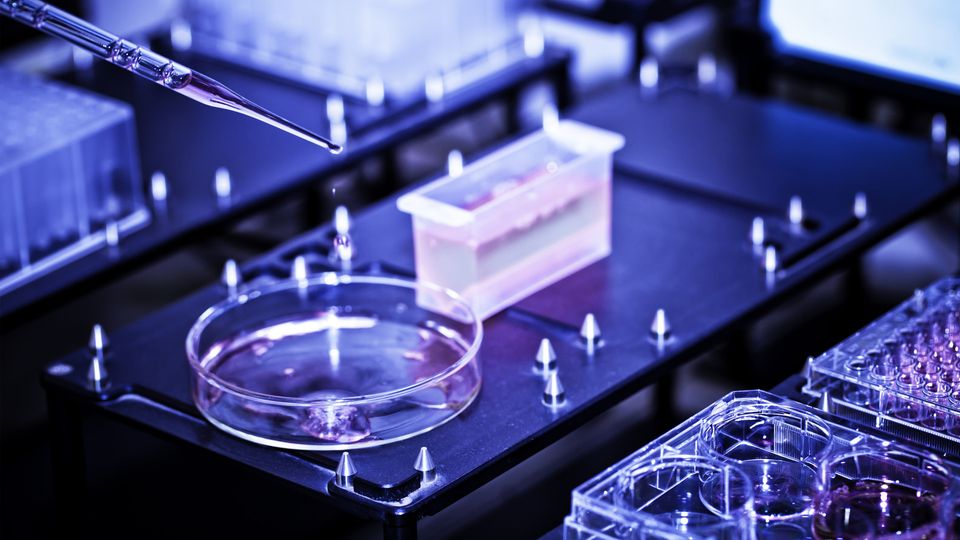 High-throughput screening process in a laboratory, featuring a pipette dispensing liquid into a petri dish among automated testing equipment.