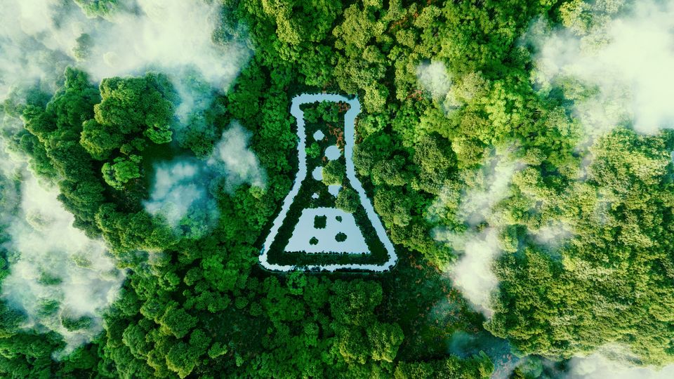 An aerial view of a forest, with a digital illustration of a laboratory flask superimposed on top of it in white.