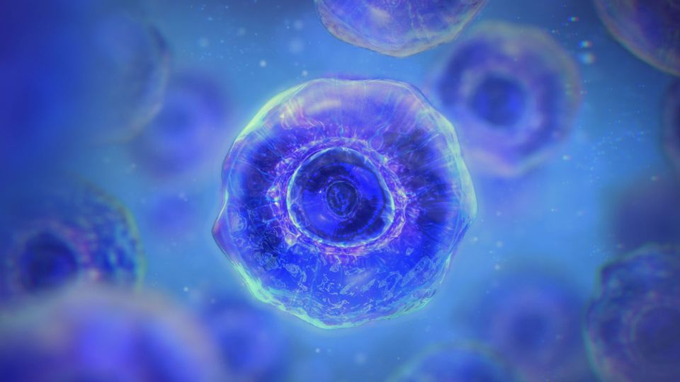 3D rendered microscopic image of cells.