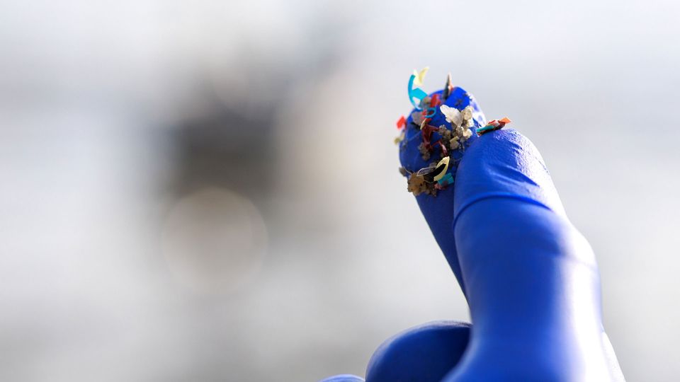 Individual with blue glove holding microplastics between fingers.