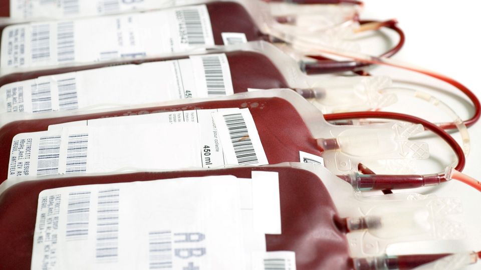 Bags of blood.