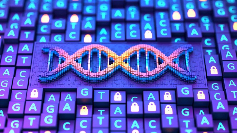 3D illustration of a DNA helix surrounded by glowing nucleotide letters and security lock icons, representing genetic data encryption and next-generation sequencing (NGS) technology.