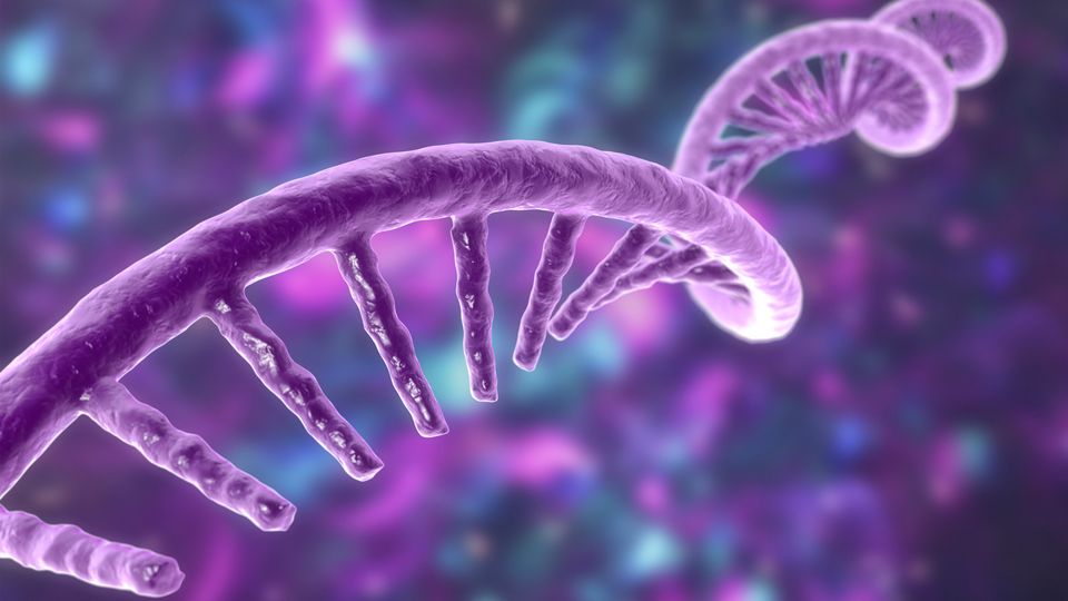 A single strand of mRNA used in RNA therapeutics such as COVID-19 mRNA vaccines.