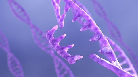 Horizontal Gene Transfer – Meaning, Methods, Detection and Outcomes