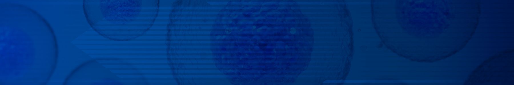 Microscopic view of single cells in a blue-toned pattern representing RNA sequencing analysis. 