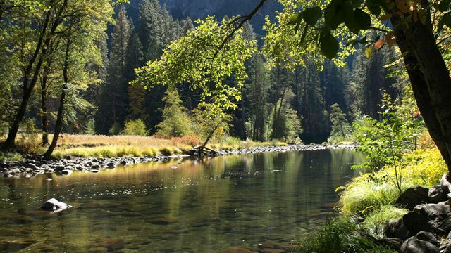 A still, shallow river flowing through a wooded area.