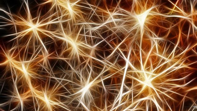 Gold star-shaped neurons form connections between each other.