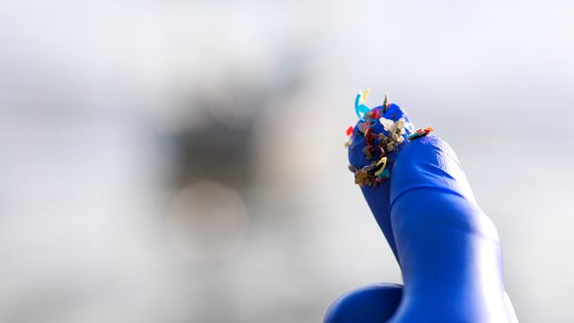 Fragments of plastic at the end of a gloved hand. 