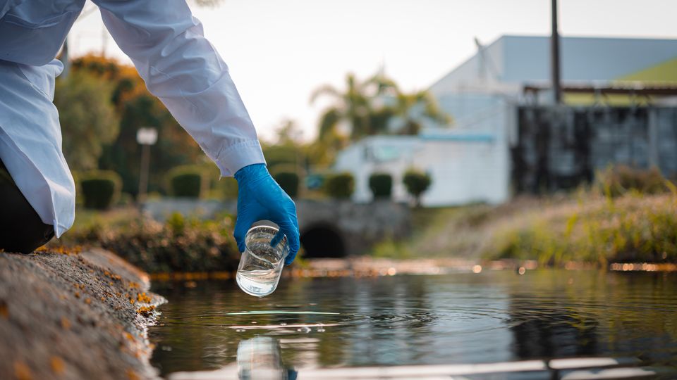 A scientist uses a glass beaker to take a water sample from a river.