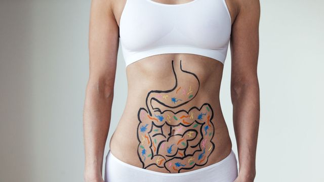 Can Your Gut Control How Fast Your Blood Vessels Age?