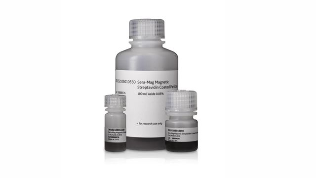 Three vials labeled "Sera-Mag Magnetic Streptavidin Coated Particles," with varying sizes on a white background.