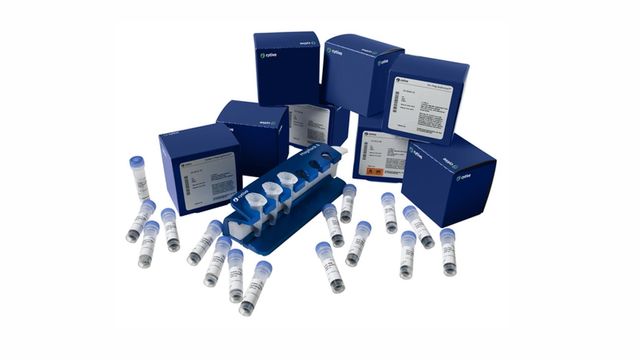 Multiple blue boxes and small vials labeled Cytiva, with some vials in a rack and others scattered on a white surface. 