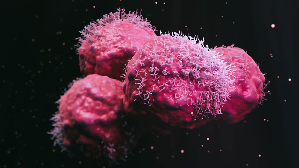 3D rendered image of cancer cells grouped together.
