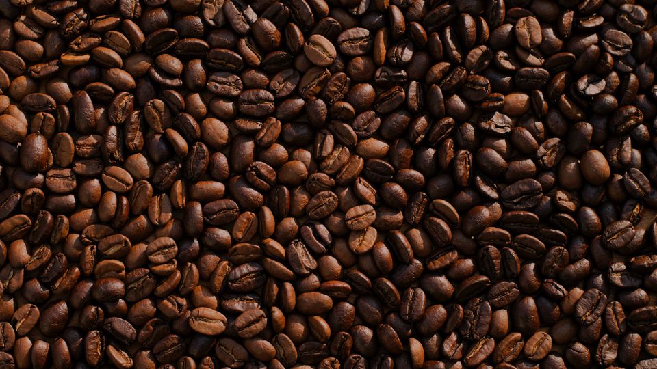 A bed of coffee beans.