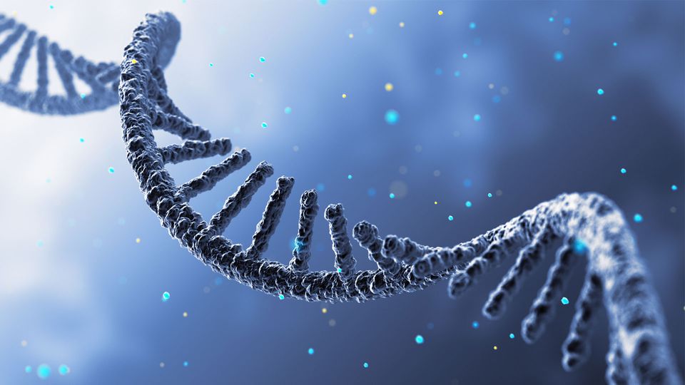 A strand of RNA coils across the image, illustrating RNA sequencing.