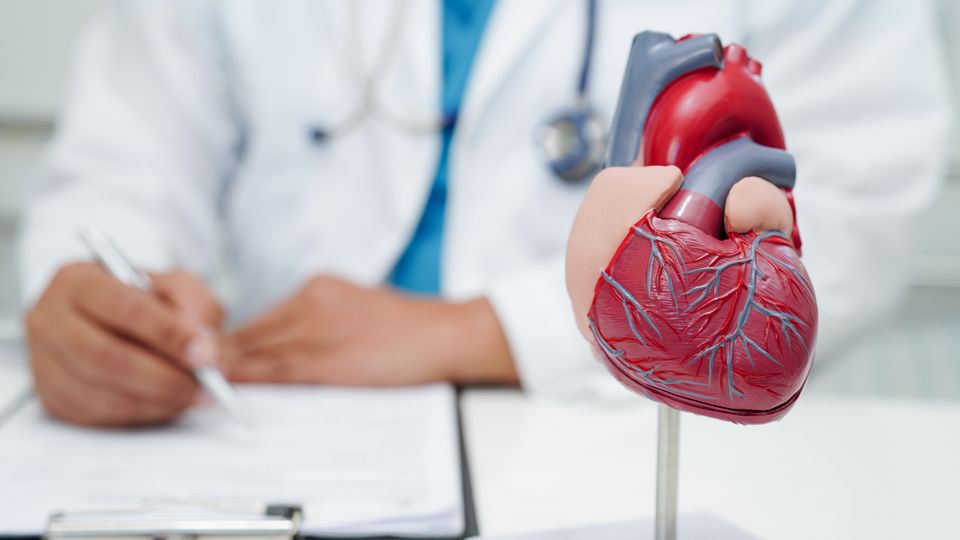A doctor diagnosing a patient with a model of a human heart next to him on the desk.