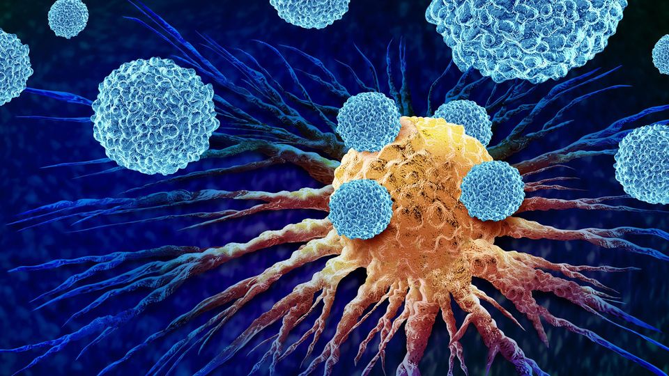 Blue immune cells attacking a yellow cancer cell in cancer immunotherapy.