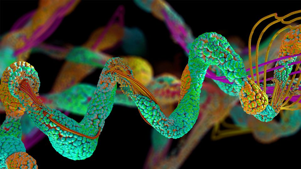 3D rendered image of molecular structure of protein.