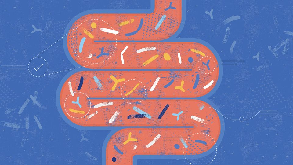 A cartoon image of an intestine, with little bacteria floating through it.