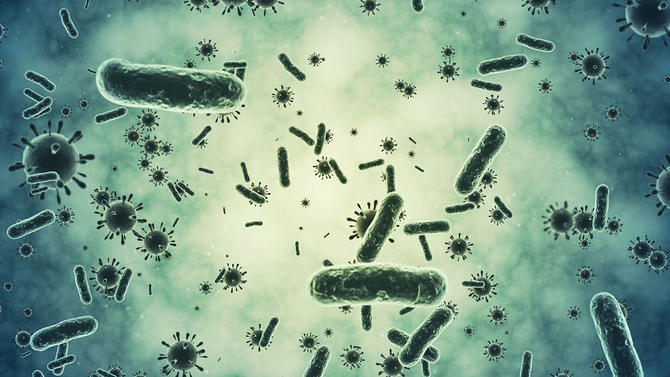 A variety of different antibiotic-resistant bacteria against a green background.