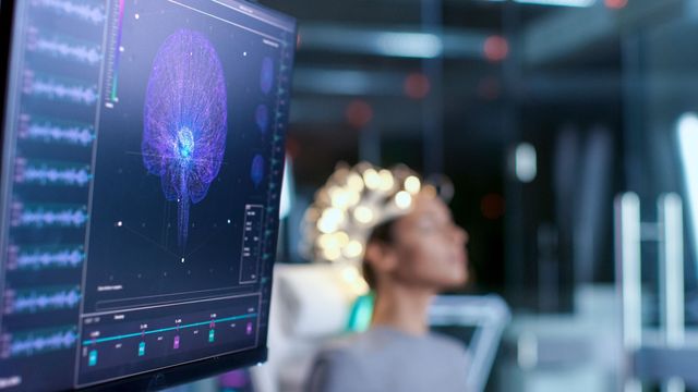 Machine Learning Highlights Key Predictors of Cognitive Performance