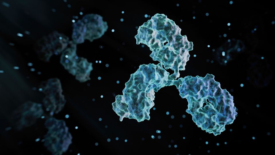 An example of a monoclonal antibody such as pembrolizumab, which wasn't recently approved for treating head and neck cancer.