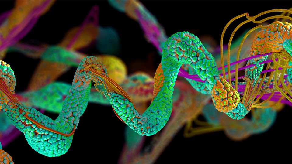 Close-up of the 3D structure of a protein molecule.