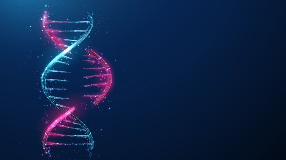 A DNA double helix in pink and blue with a section (gene) removed.