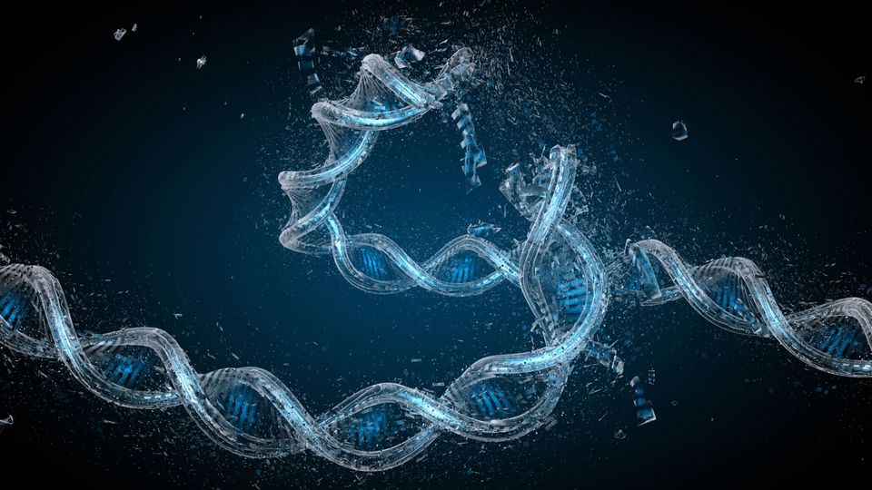 DNA coils and breaks, illustrating DNA damage.