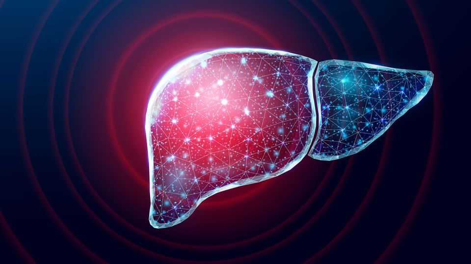 A liver, filled with connected data points.