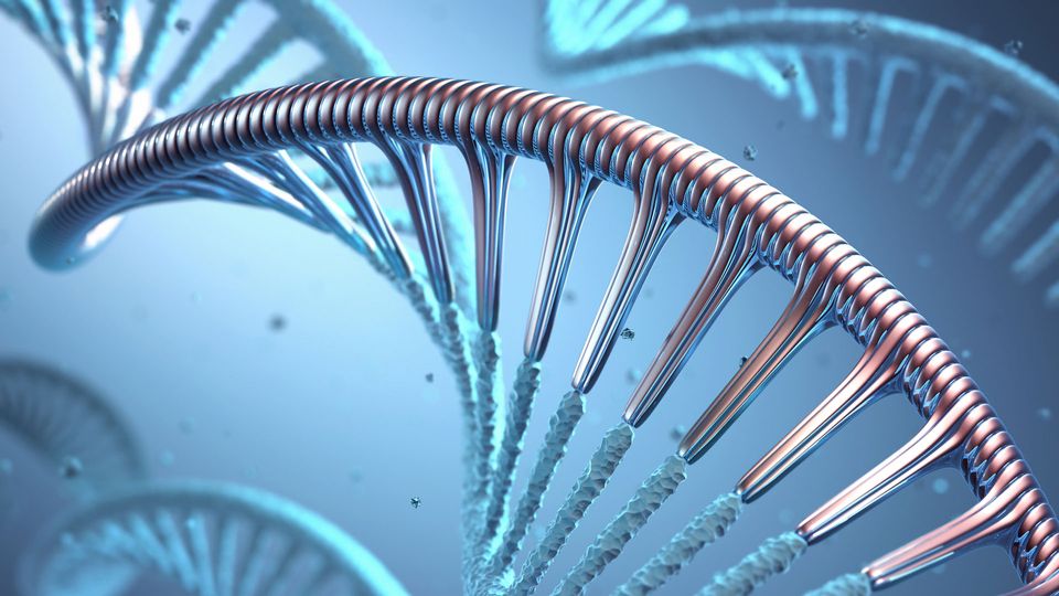 3D rendered image of DNA.