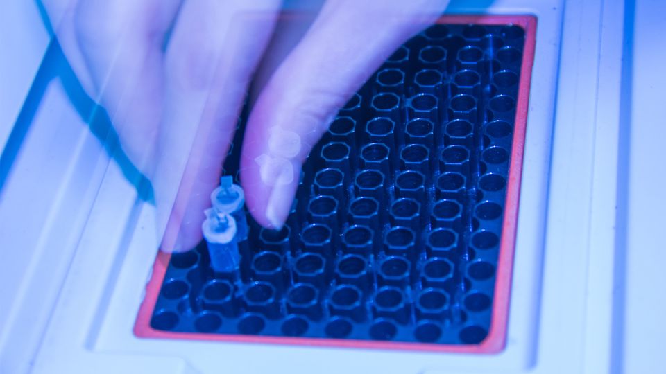 A hand loads samples into a tray before PCR