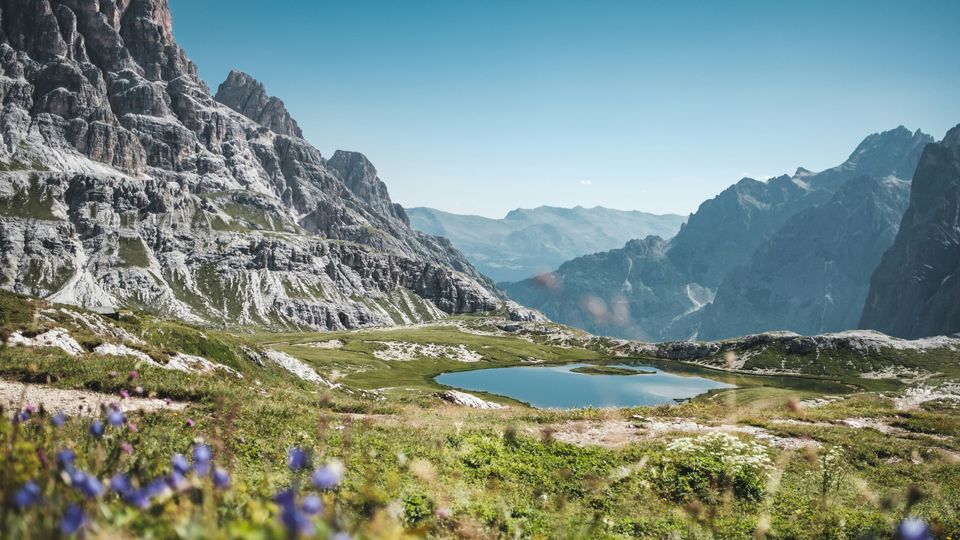A view of the Alpine mountains, grass, flowers and a small lake visible.