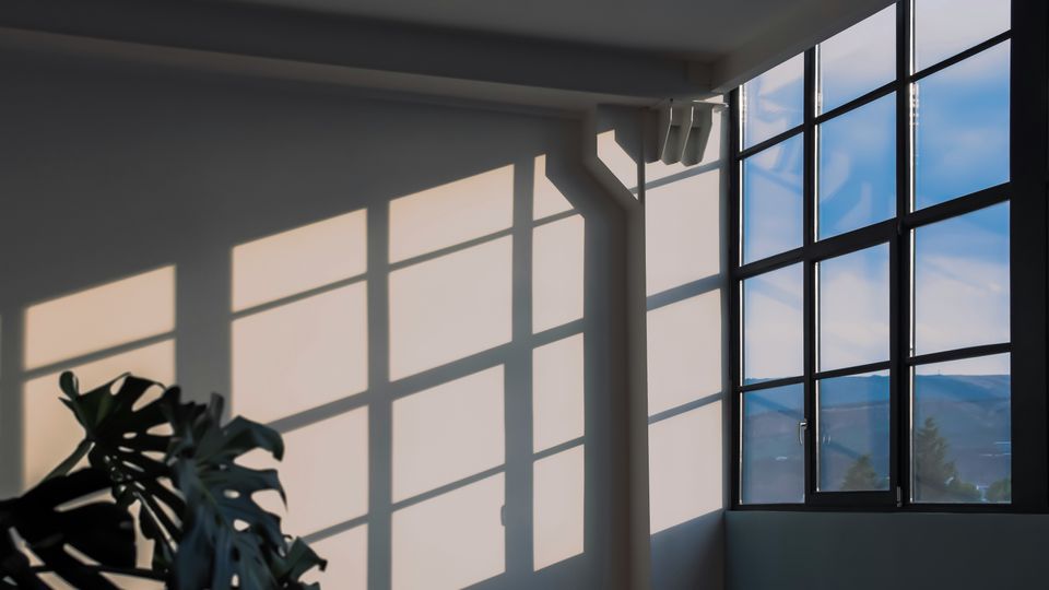 Sunlight streaming through a window onto a cream-coloured wall.