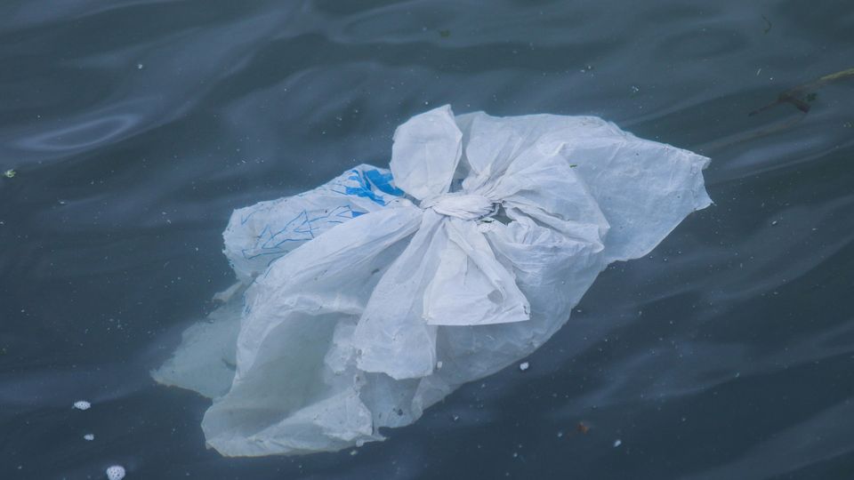A white plastic bag floating in a body of water.